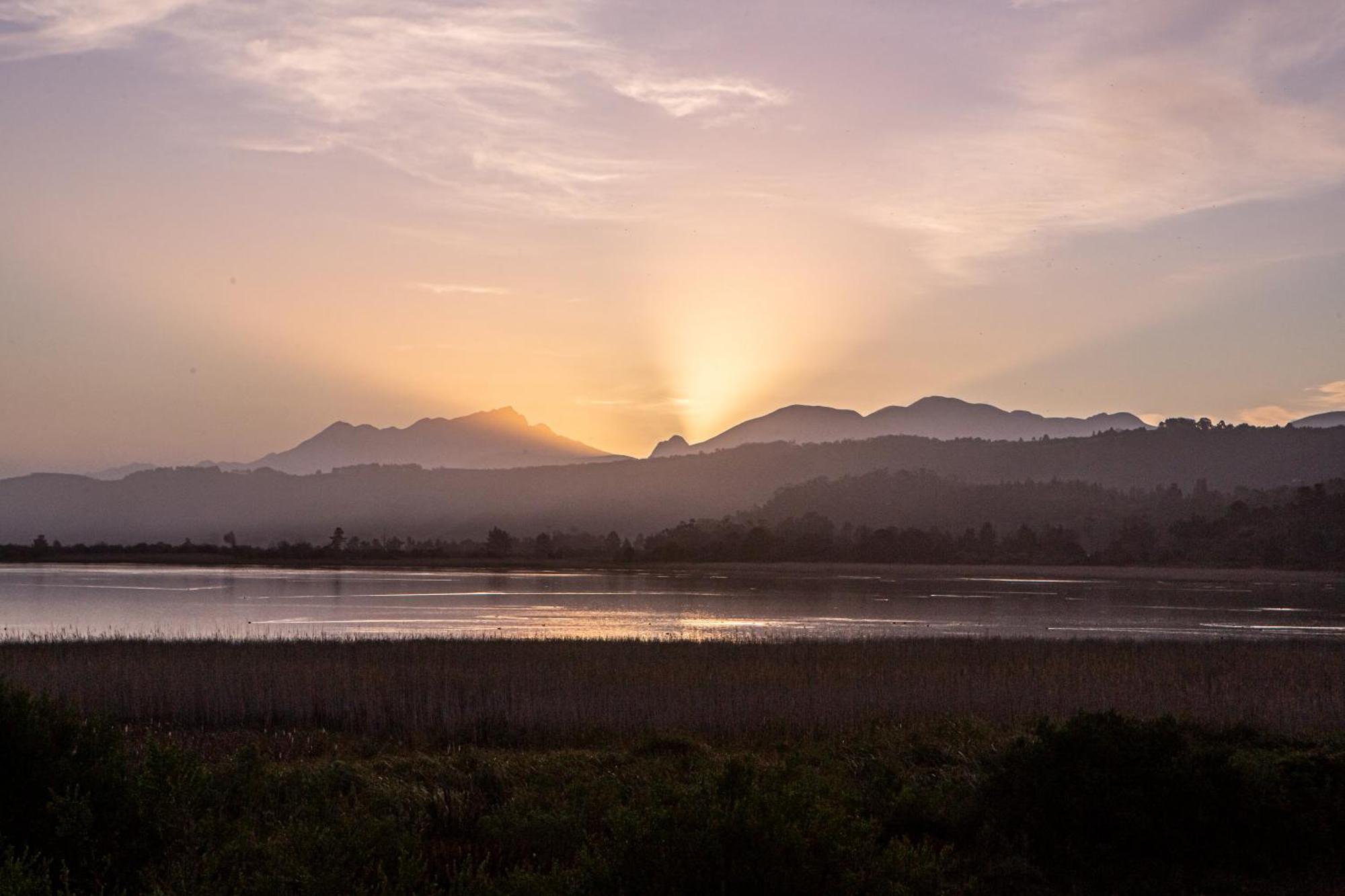 Equleni Guest Farm Hotel Sedgefield Eksteriør billede